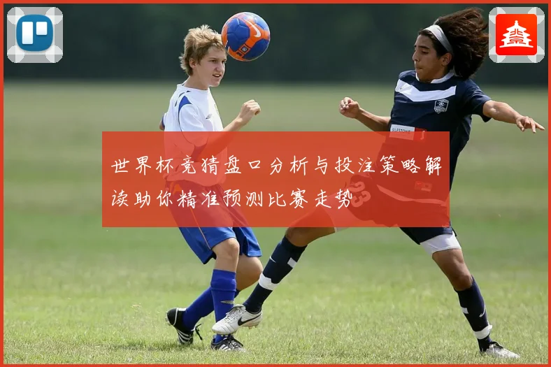 世界杯竞猜盘口分析与投注策略解读助你精准预测比赛走势