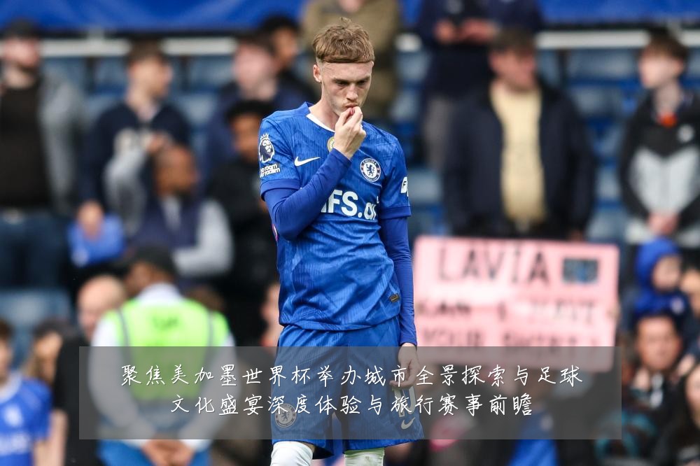 聚焦美加墨世界杯举办城市全景探索与足球文化盛宴深度体验与旅行赛事前瞻