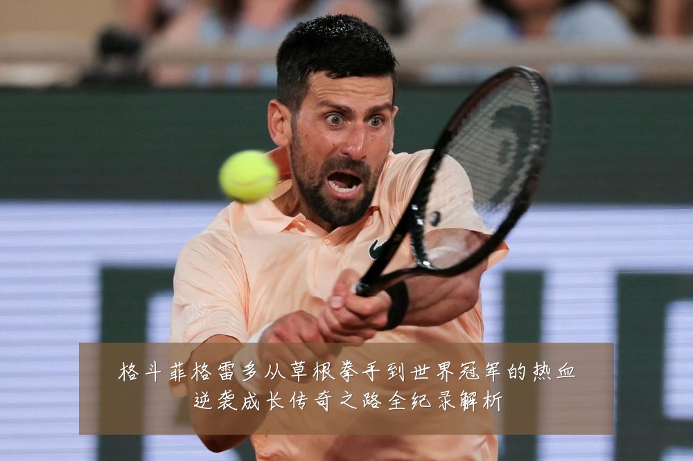 格斗菲格雷多从草根拳手到世界冠军的热血逆袭成长传奇之路全纪录解析
